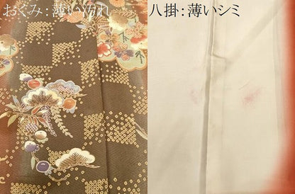 平和屋着物■上質な小紋　枝花間道　暈し染め　金彩　正絹　逸品　CABM1690ev