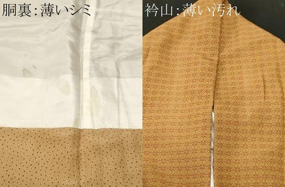平和屋着物■上質な小紋　花繋ぎ間道　正絹　逸品　CABM1693ev