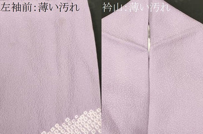 平和屋着物■訪問着　刺繍　絞り　流水草花文　金銀彩　正絹　逸品　CABM1733ev