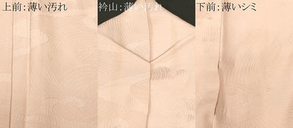平和屋着物■上質な色無地　立波地紋　灰桜色　正絹　逸品　CABM1740ev