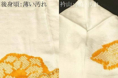 平和屋着物■豪華振袖　駒刺繍　絞り　吉祥流水舞花文　金彩　正絹　逸品　CABM1749ev