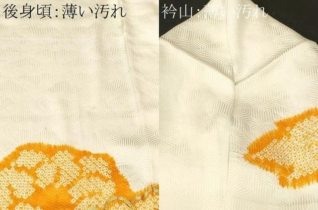 平和屋着物■豪華振袖　駒刺繍　絞り　吉祥流水舞花文　金彩　正絹　逸品　CABM1749ev