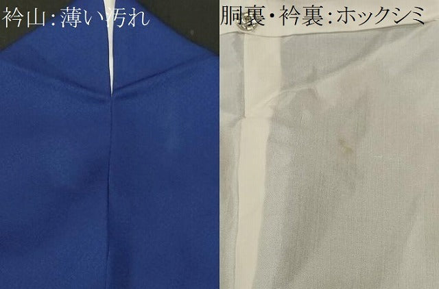 平和屋着物■訪問着　笹竹文　唐子　正絹　逸品　CABM1751ev