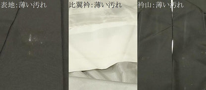 平和屋着物■豪華黒留袖　駒刺繍　松竹梅扇面双鶴花文　金彩　正絹　逸品　CABM1762ev