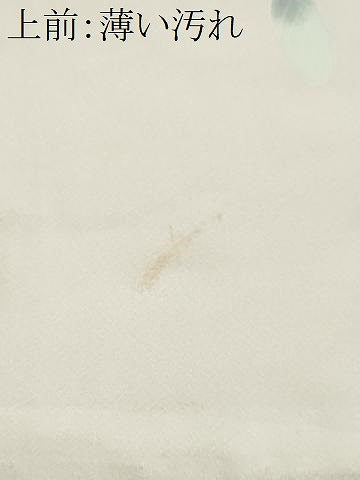 平和屋着物■訪問着　休み鳥枝花文　暈し染め　正絹　逸品　CABM1768ev