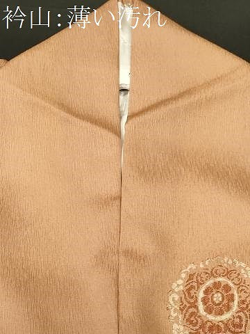 平和屋着物■上質な小紋　刺繍　幾何学花文　正絹　逸品　CABM1799ev