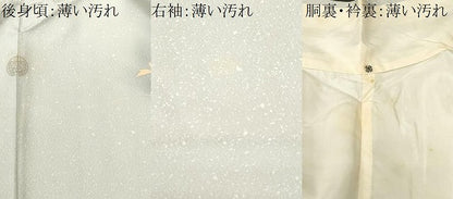 平和屋着物■訪問着　刺繍　道長草花文　暈し染め　正絹　逸品　CABM1967ev