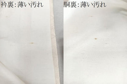 平和屋着物■豪華振袖　刺繍　草花文　金彩　正絹　逸品　CABM2011xe
