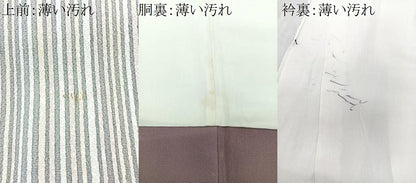 平和屋着物■上質な小紋　縞　正絹　逸品　CABM2012xe