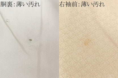 平和屋着物■訪問着　七宝地紋　暈し染め　正絹　逸品　CABM2044xe