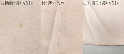 平和屋着物■訪問着　手描き　草花文　暈し染め　正絹　逸品　CABM2069xe