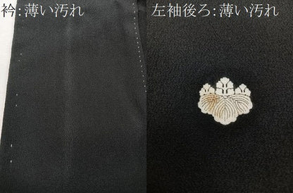 平和屋着物■豪華黒留袖　作家物　駒刺繍　色紙風景花文　金彩　正絹　逸品　CABM2090xe