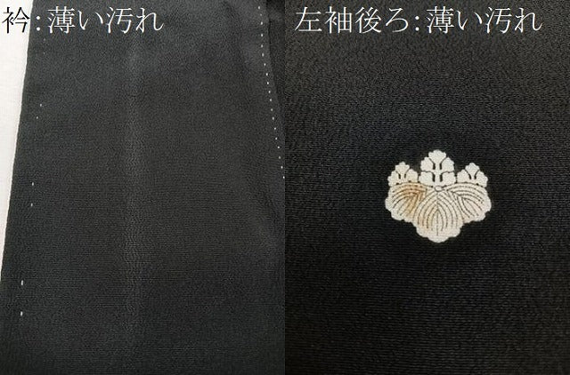 平和屋着物■豪華黒留袖　作家物　駒刺繍　色紙風景花文　金彩　正絹　逸品　CABM2090xe