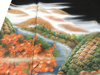 平和屋着物■豪華黒留袖　作家物　洛西の清流　暈し染め　金彩　正絹　逸品　CABM2092xe