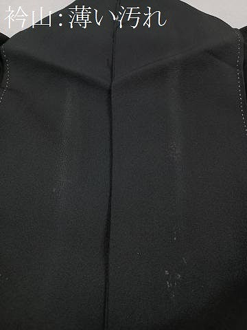 平和屋着物■豪華黒留袖　作家物　泉彩染　風景文　金銀彩　正絹　逸品　CABM2094xe