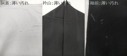 平和屋着物■豪華黒留袖　鳳凰扇面花文　金彩　正絹　逸品　CABM2116xe