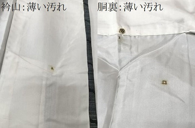 平和屋着物■本場大島紬　葉尽くし　正絹　逸品　CABM2121xe