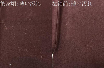 平和屋着物■豪華色留袖　枝桜文　金彩　正絹　逸品　CABM2146xe
