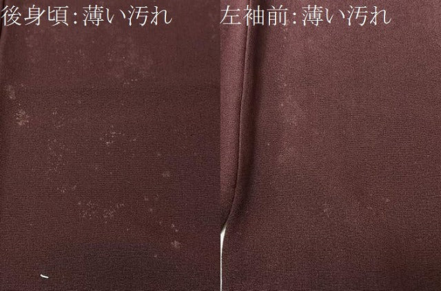 平和屋着物■豪華色留袖　枝桜文　金彩　正絹　逸品　CABM2146xe