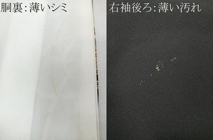 平和屋着物■豪華黒留袖　駒刺繍　花鳥鼓文　金彩　正絹　逸品　CABM2221xe