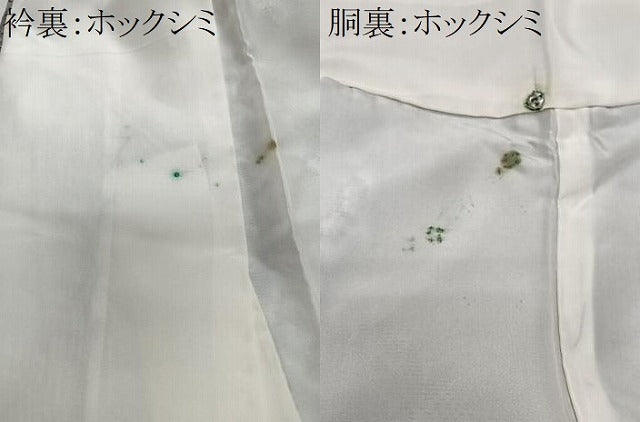 平和屋着物■本場大島紬　花間道　正絹　逸品　CABM2235xe