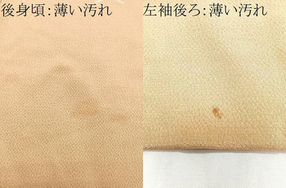 平和屋着物■上質な小紋　舞蝶文　鬼しぼ縮緬　正絹　逸品　CABM2257xe