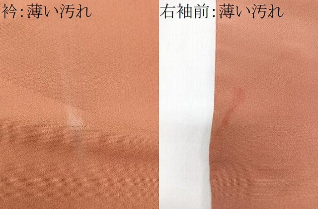 平和屋着物■色留訪問着　駒刺繍　地紙立波はな文　金銀彩　正絹　逸品　CABM2400xe