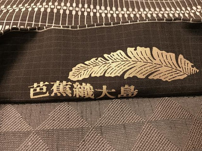 平和屋着物●両面　全通柄袋帯　本場縞大島紬地　芭蕉織大島　武島織物謹製　幾何学文　証紙付き　正絹　逸品　未使用　CABM2998vp
