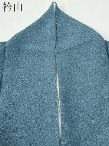 平和屋着物●江戸小紋　鮫小紋柄　正絹　逸品　CABM3634yc
