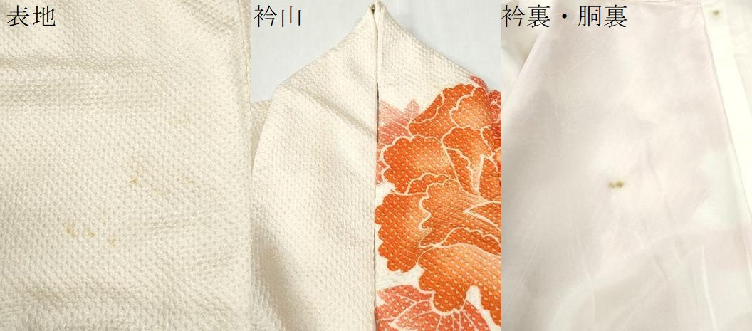 平和屋着物●名門　藤娘きぬたや・総絞り　振袖　牡丹　正絹　逸品　CABM3664yc
