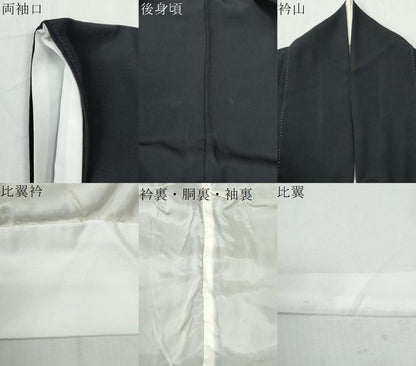 平和屋着物●染織作家　染織デザイナー　大島明　黒留袖　薔薇　金銀彩　正絹　逸品　CABM3711yc
