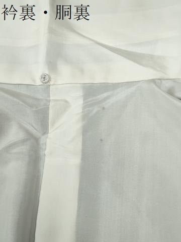 平和屋着物●江戸小紋　菊　正絹　逸品　未使用　CABM3797yc