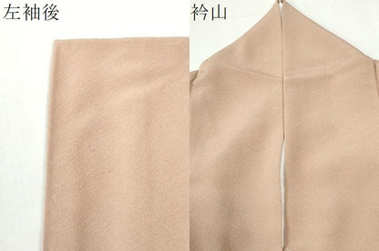 平和屋着物●本草木染作家　圓啓　色無地　ワンポイント　葡萄　水柿色　正絹　逸品　CABM4094yc