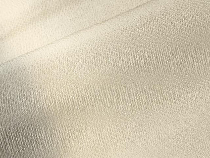 平和屋着物●上質な小紋　霞文　暈し染め　鬼しぼ縮緬　正絹　逸品　CABM4134yc