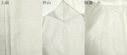 平和屋着物●本場大島紬　白大島　7マルキ　一元絣　正絹　逸品　CABM4354yc