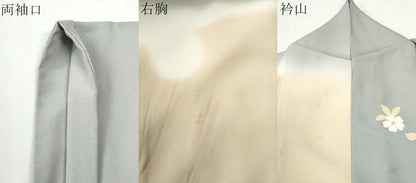 平和屋着物●訪問着　鬘帯流水舞桜文　暈し染め　金彩　正絹　逸品　CABM4476yc