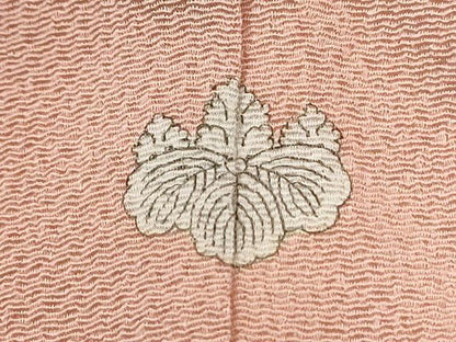 平和屋着物●本加賀友禅作家　談義所栄二監修　色無地　虹色　鬼しぼ縮緬　ロング丈　正絹　逸品　CABM4479yc