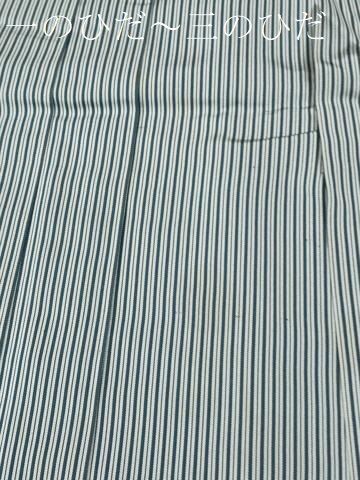平和屋着物●男性　行灯袴　間道　正絹　逸品　CABM4576yc