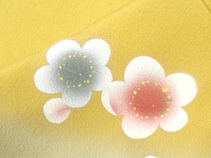 平和屋着物●豪華振袖　作家物　梅　暈し染め　正絹　逸品　CABM4661yc