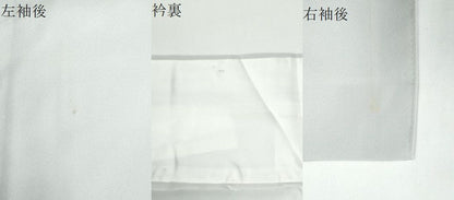 平和屋着物●豪華色留袖　高橋一海　牡丹花車文　暈し染め　金彩　正絹　逸品　CABM4718yc