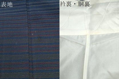 平和屋着物●白鷹お召　訪問着　間道　正絹　逸品　CABM4770yc