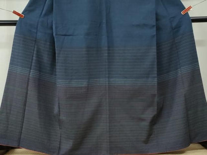平和屋着物●白鷹お召　訪問着　間道　正絹　逸品　CABM4770yc