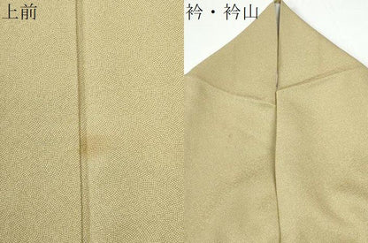 平和屋着物●江戸小紋　鮫小紋柄　正絹　逸品　CABM4779yc