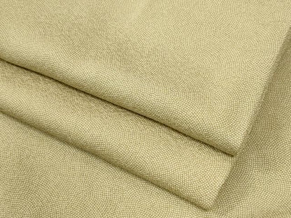 平和屋着物●江戸小紋　鮫小紋柄　正絹　逸品　CABM4779yc