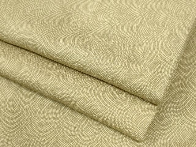 平和屋着物●江戸小紋　鮫小紋柄　正絹　逸品　CABM4779yc