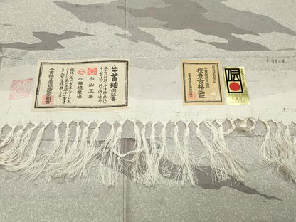 平和屋着物●石川県指定無形文化財　牛首紬　白山工房　手織　訪問着　刺繍　霞文　京都きもの友禅扱い　証紙付き　正絹　逸品　CABM5235gh