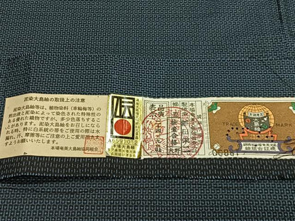 平和屋着物＃男性　長羽織　本場大島紬　100亀甲　総詰め　植田栄二作　証紙付き　キングサイズ　正絹　逸品　未使用　CABM6518ua