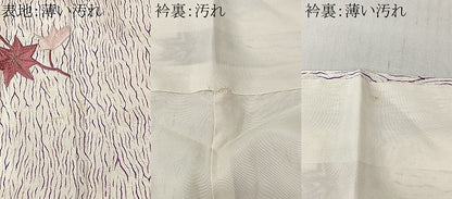 平和屋着物■上質な小紋　刺繍　枝葉文　金彩　正絹　逸品　CABM6582ua