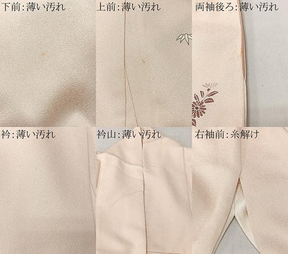 平和屋着物■訪問着　刺繍　草花文　大丸扱い　正絹　逸品　CABM6589ua