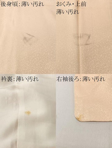 平和屋着物■色留袖訪問着　総刺繍　鏡裏花文　暈し染め　正絹　逸品　CABM6594ua